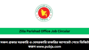 Zilla Parishad Office Job Circular 2026