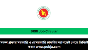Bangladesh Rice Research Institute BRRI Job Circular 2026