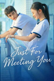 Just For Meeting You