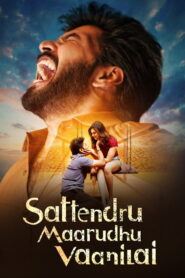 Sattendru Maarudhu Vaanilai