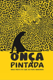 Onça Pintada – Mais Perto Do Que Se Pode Imaginar